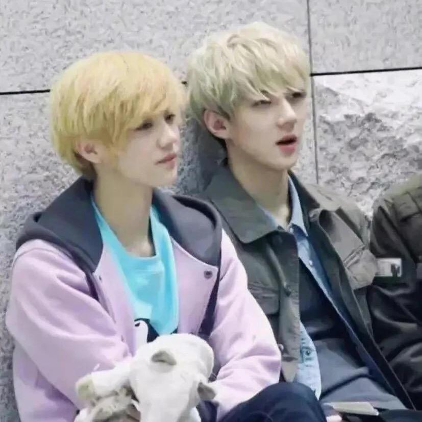 再也不喝奶茶了