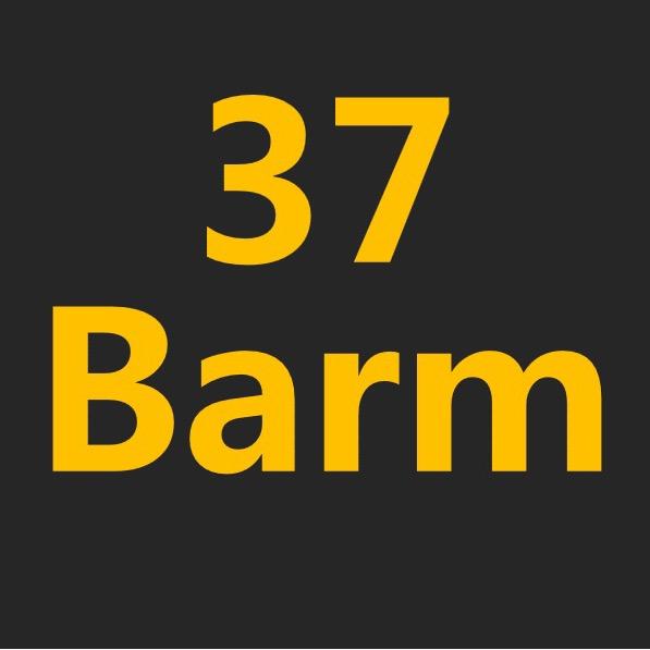 37barm精酿啤酒Beer