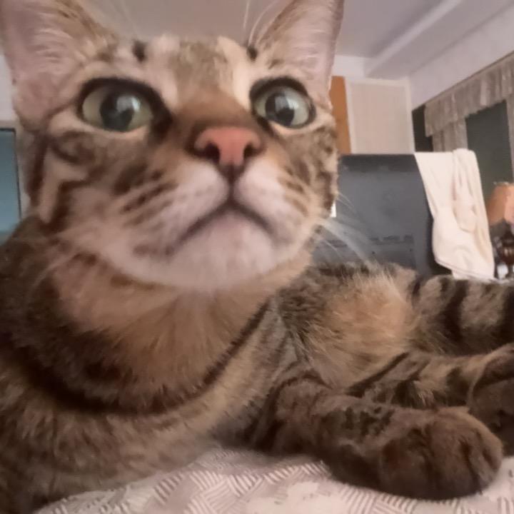 Aiu