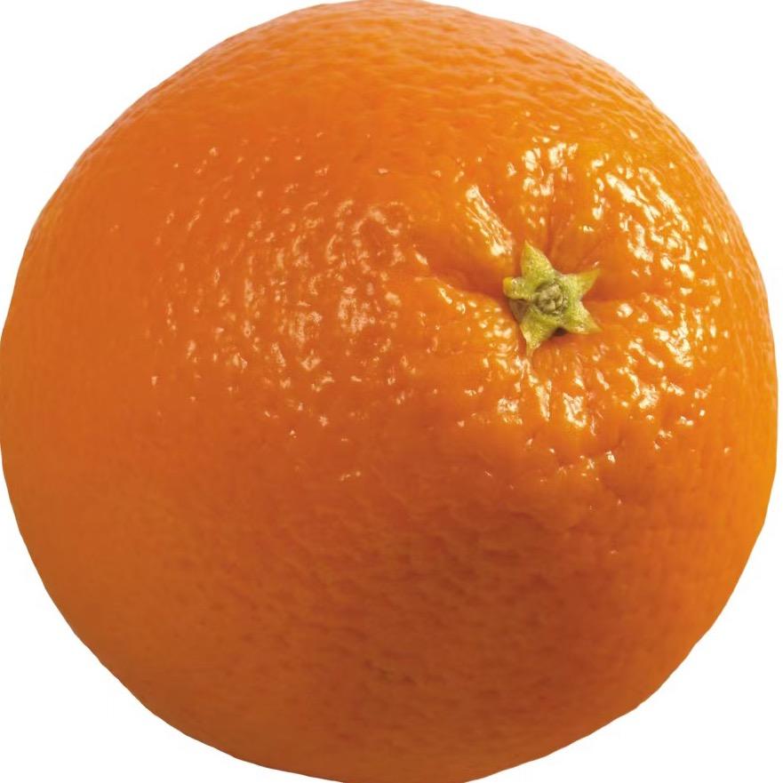 小刘的农家果铺