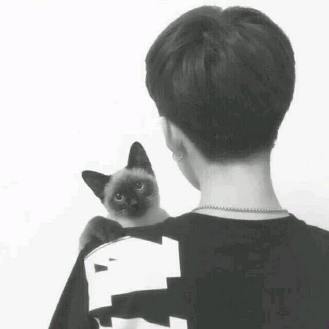 姝泽贝房产咨询