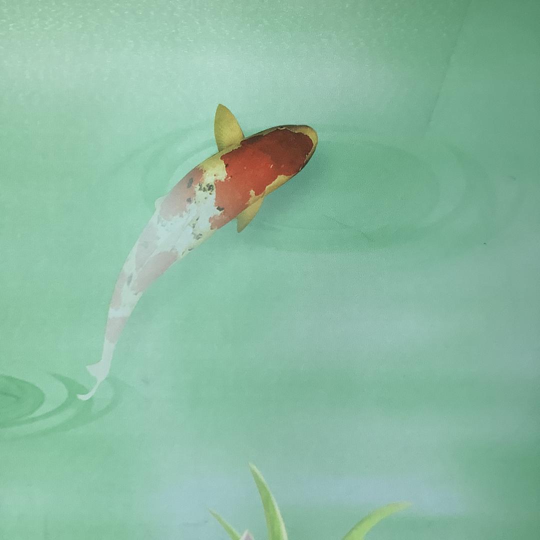 🌈☁️白云☁️🌈