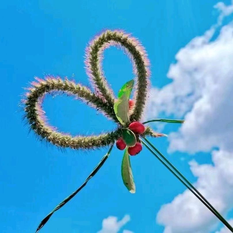 ༄༊࿆归零ོྂཾ࿆࿐：