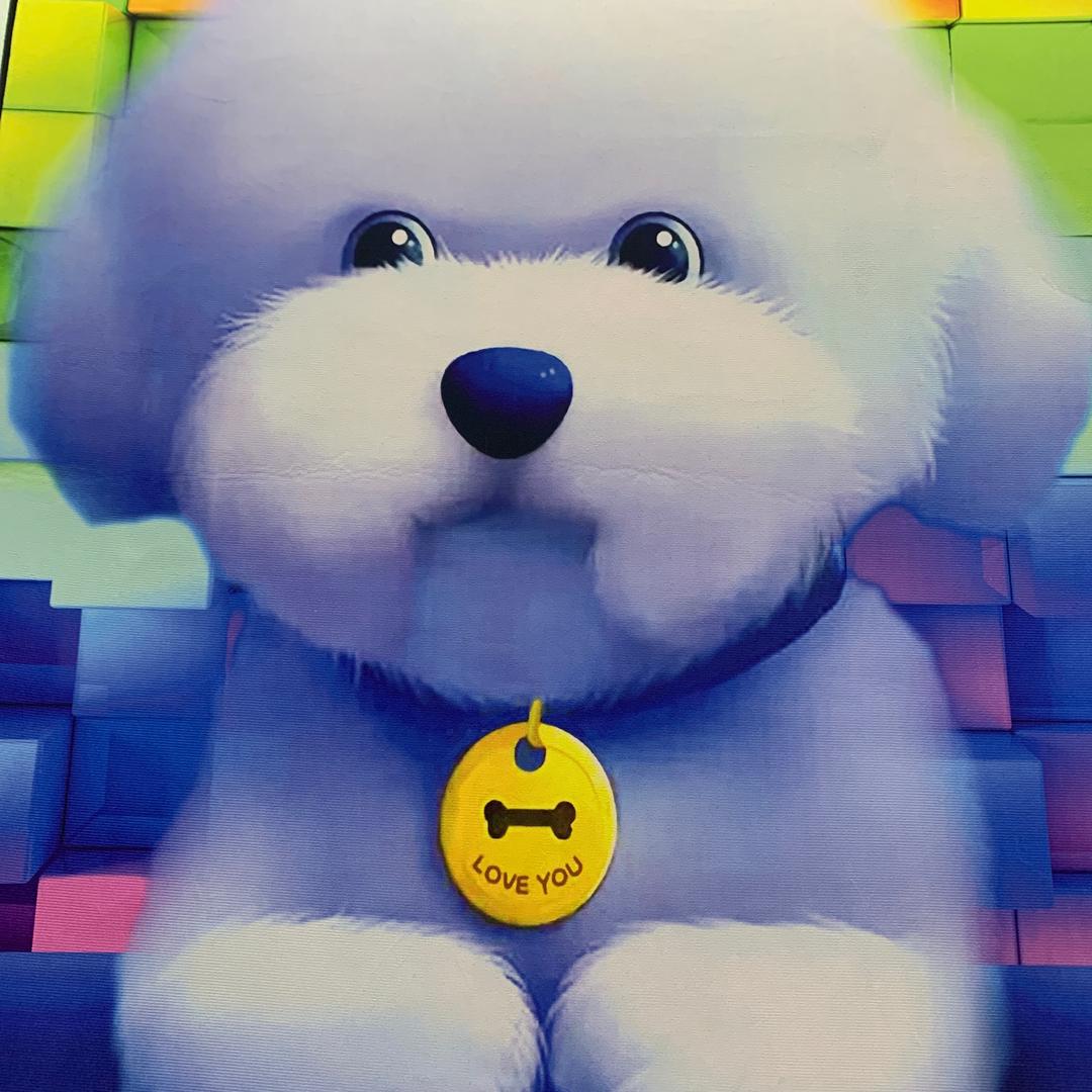 安子精品名猫名犬宠物