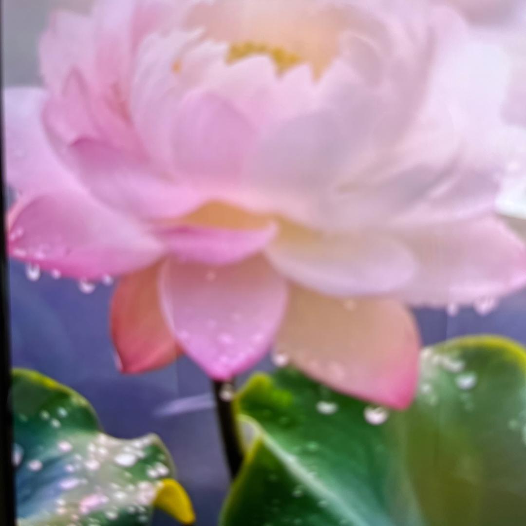 文殊（妙乐1）