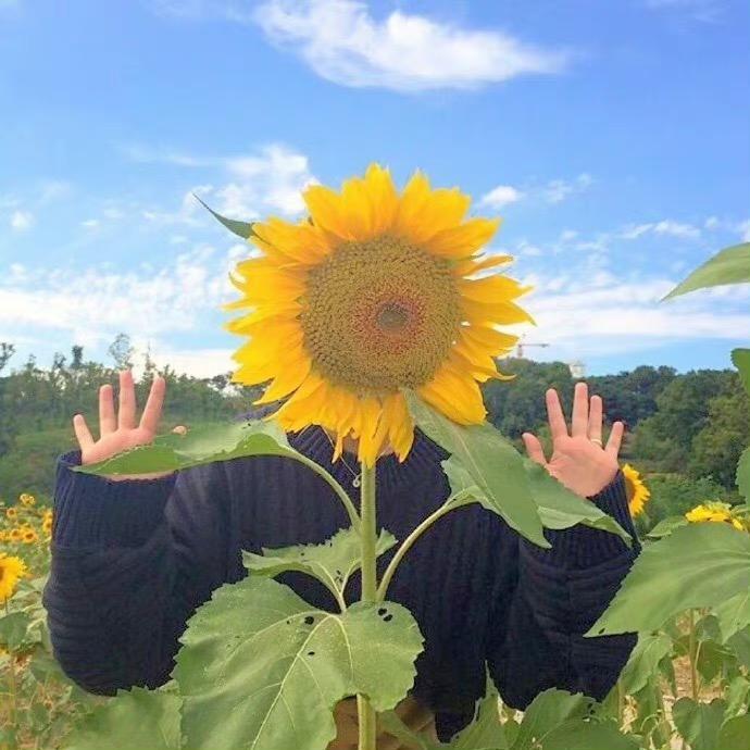 运城财校智能系胖大星老师