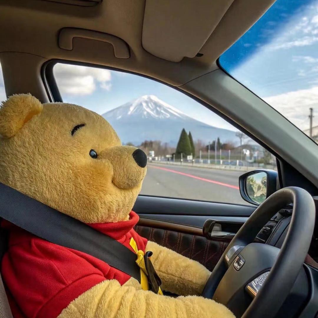维尼开车666