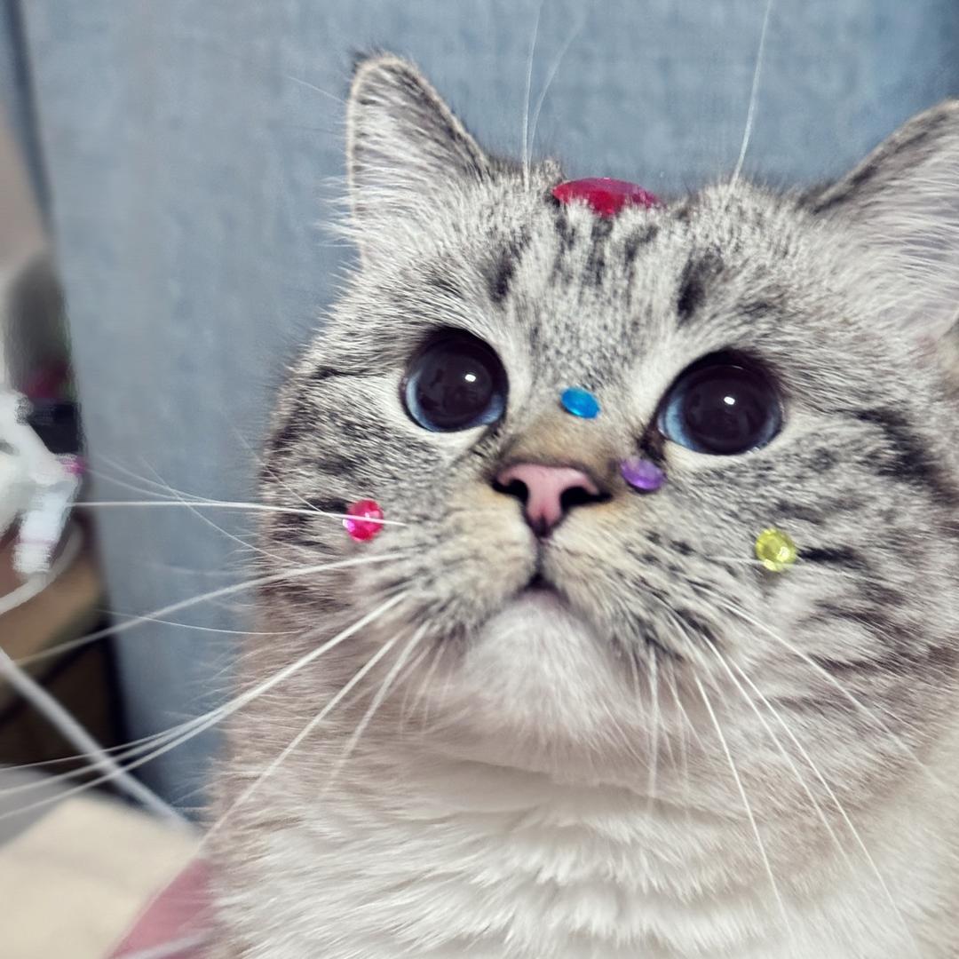 墩子
