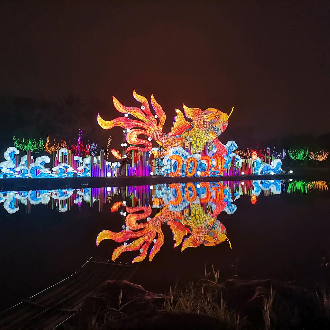 董同学