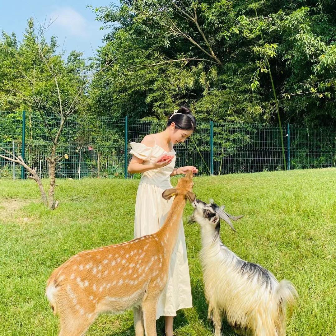麒麟儿