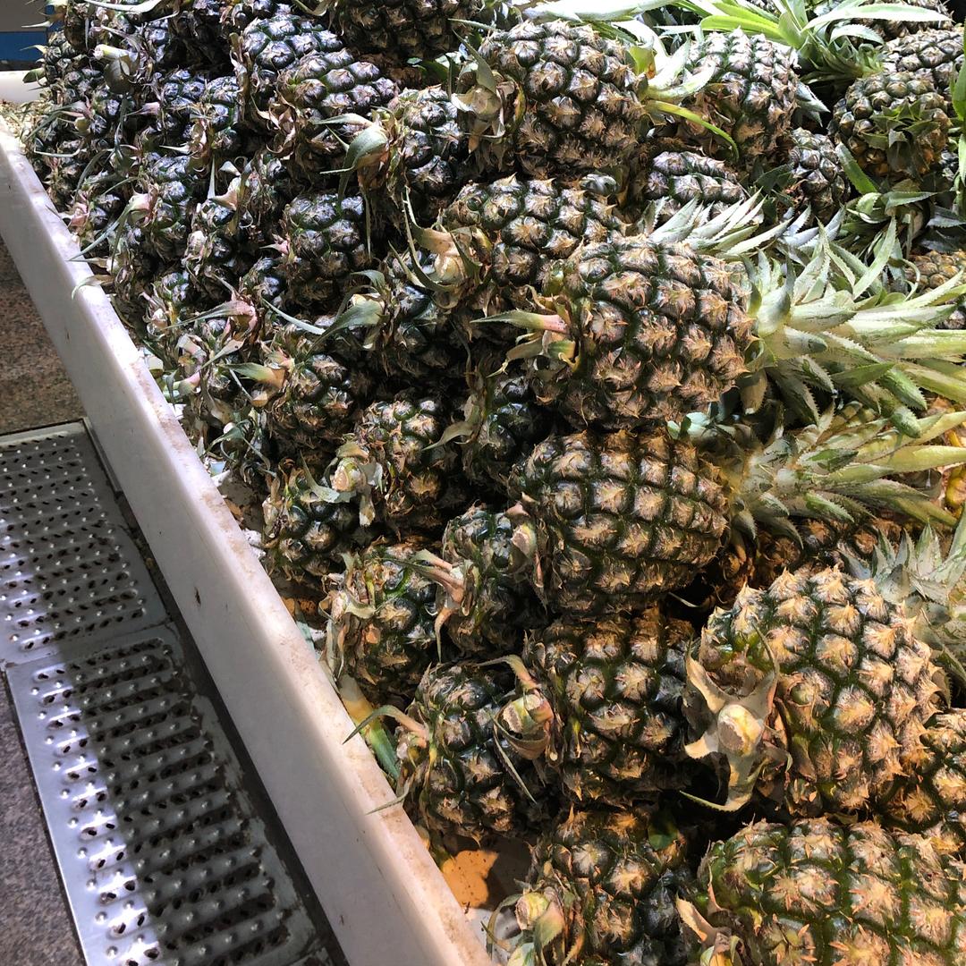 菠萝