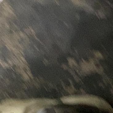 努力💪加油💪坚持