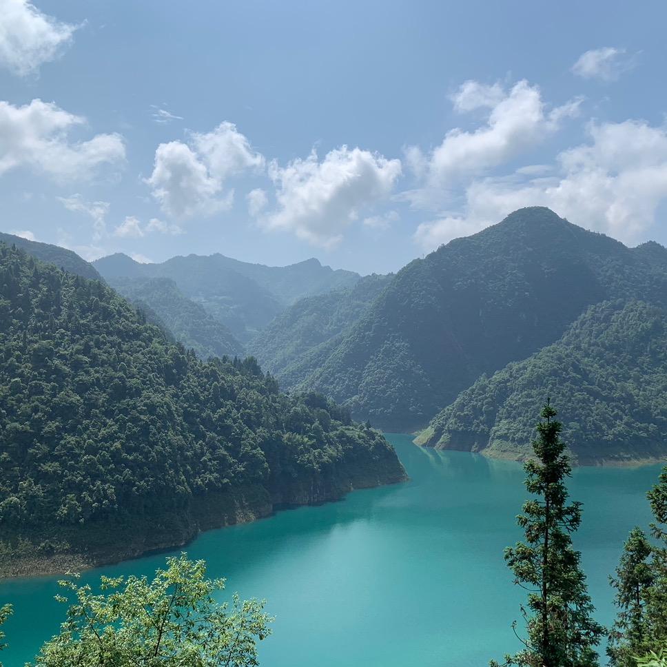 59561984946的头像