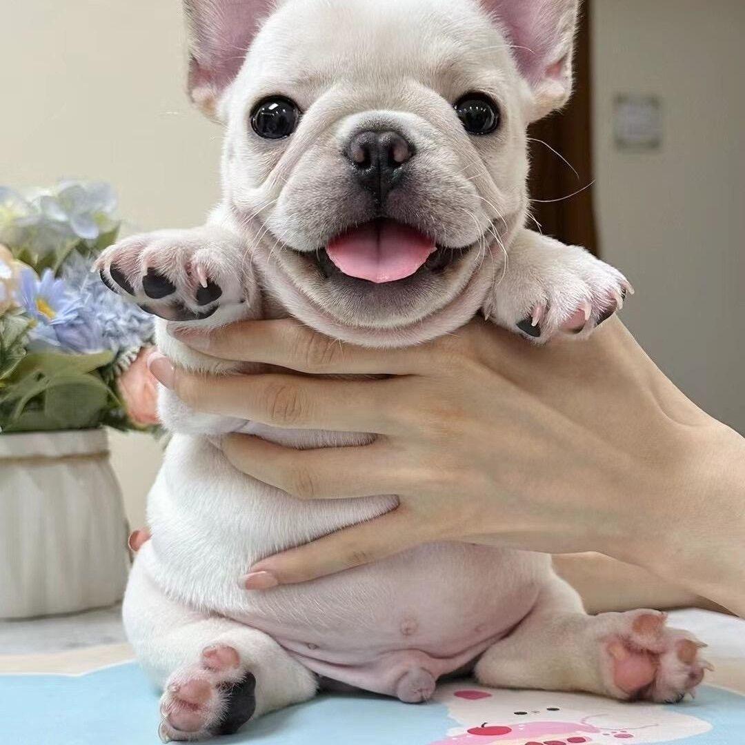 萌萌哒