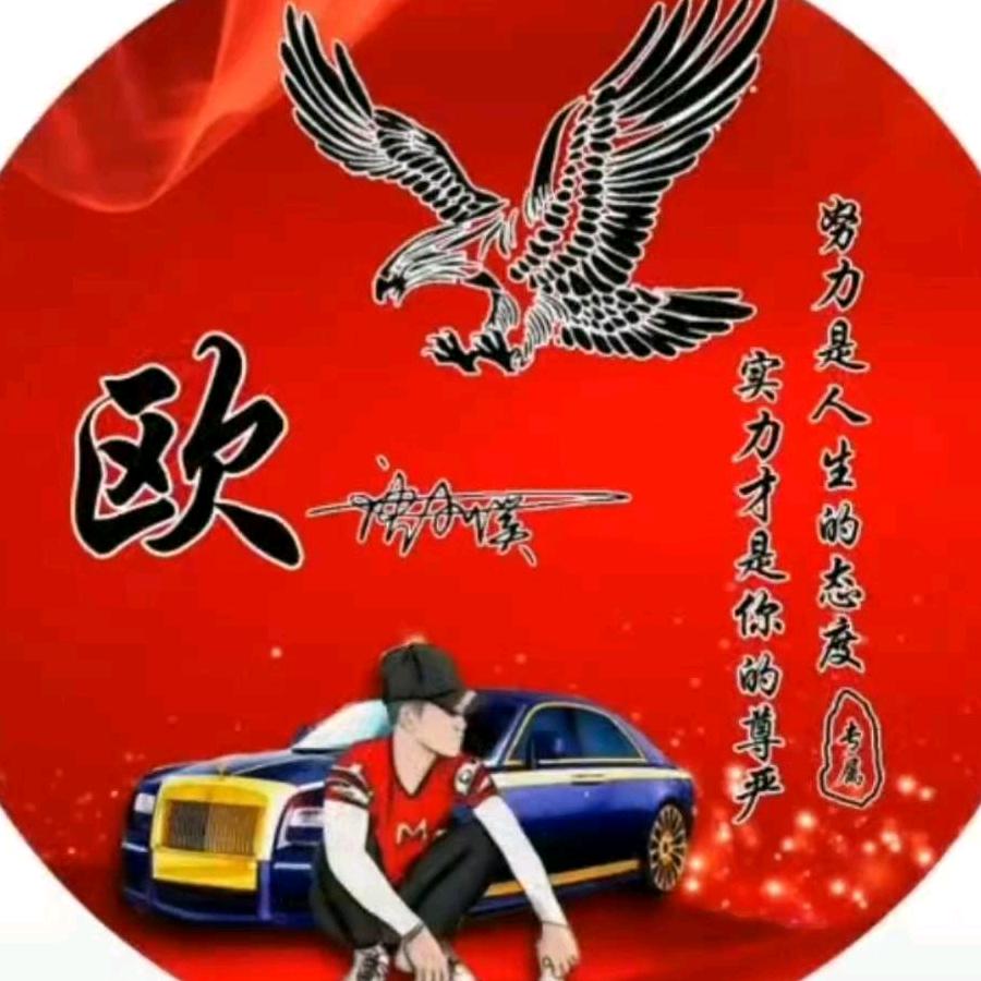 欧奔汽车维修深圳宝安公园店