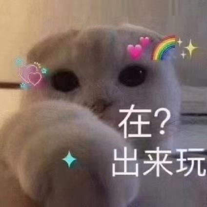 不会玩游戏的猫