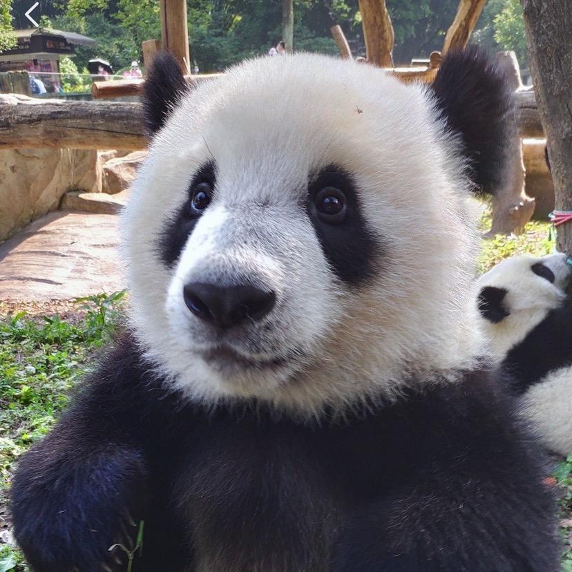 太阳又快下山呀