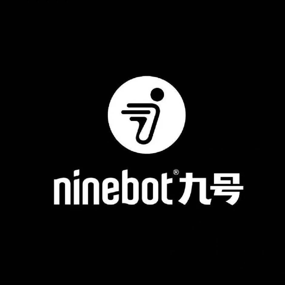 九号电动车畔湖一路店（龙光玖龙台）