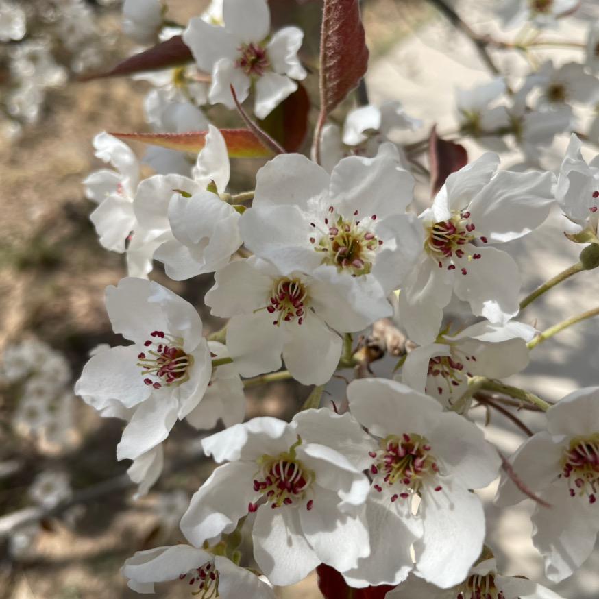鑫悦酒业批发超市