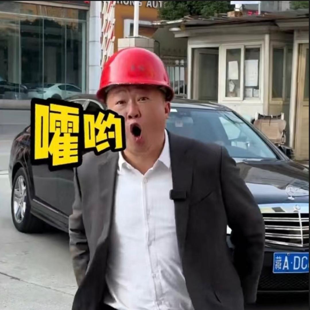 成都田园大昌行二手车老庞（大量收车）