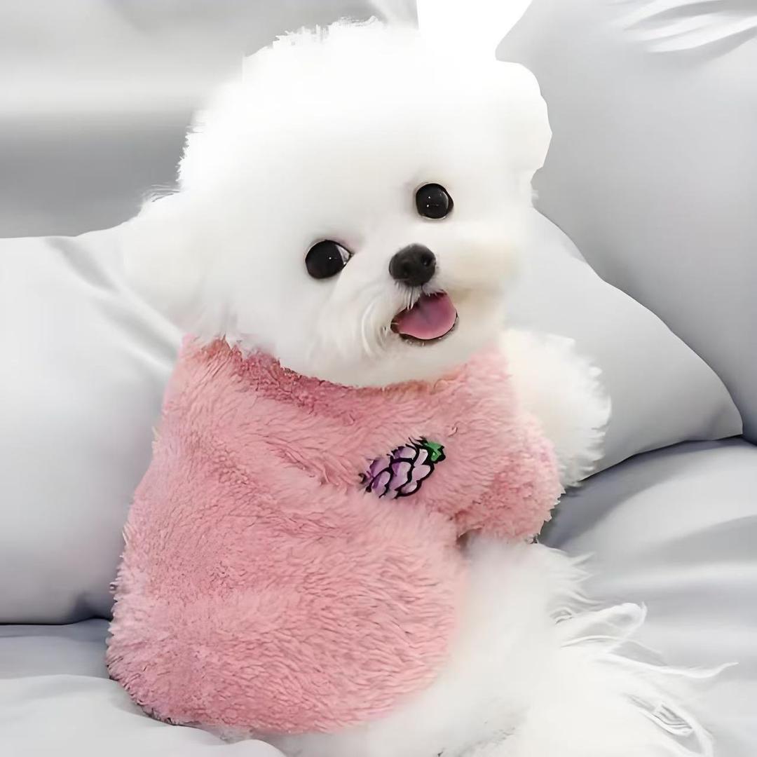 左左同学