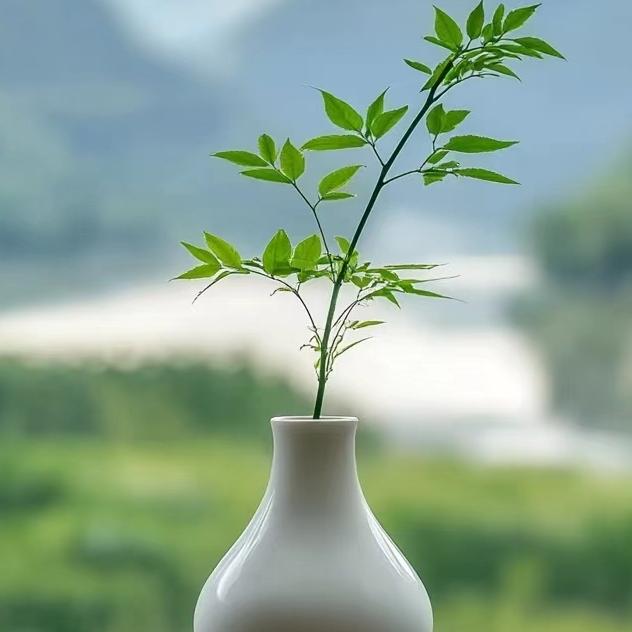 月月老师聊健康