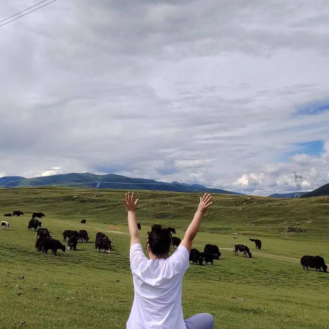 我爱吃肉