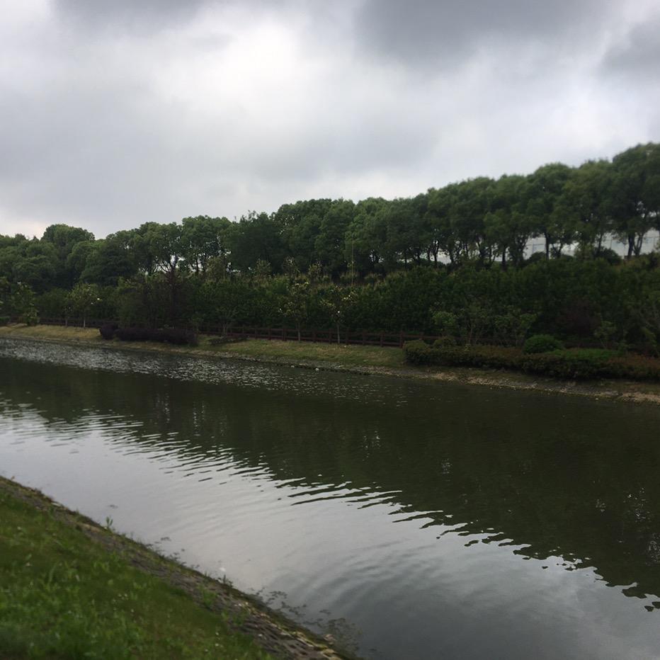 自强不息厚德载物