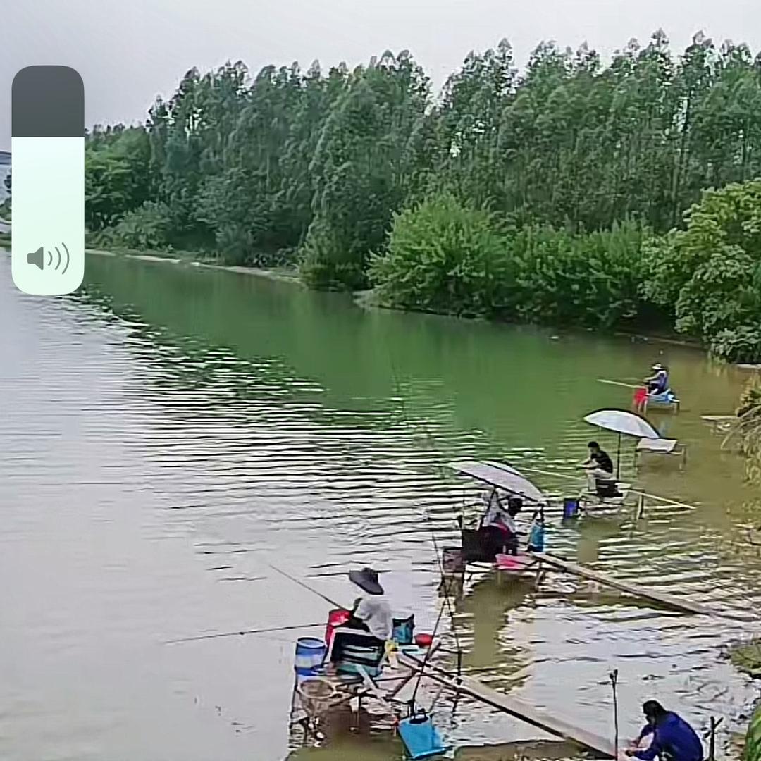初龙钓鱼教学