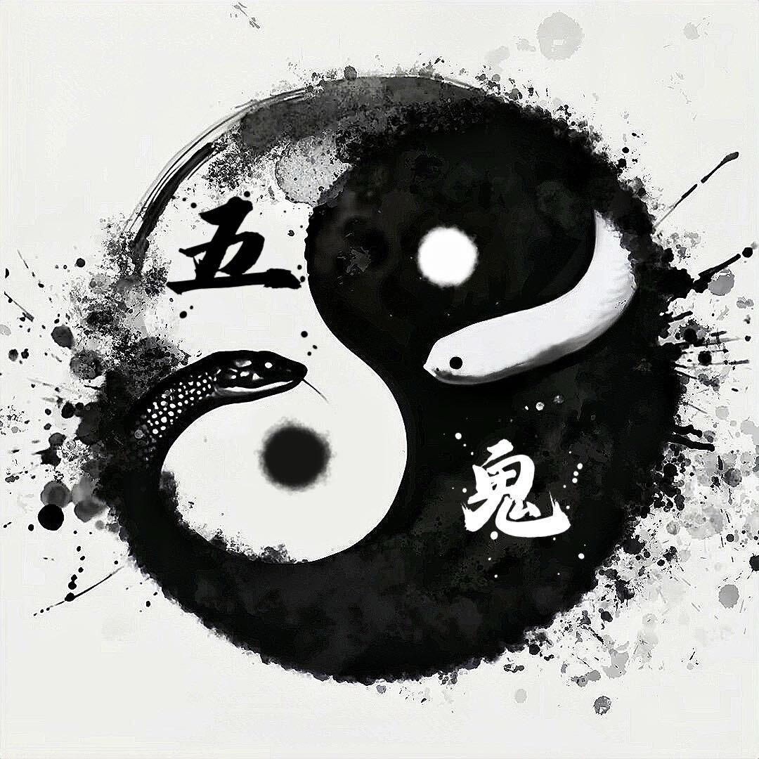 五鬼爬宠🐍小助理（科普分享版