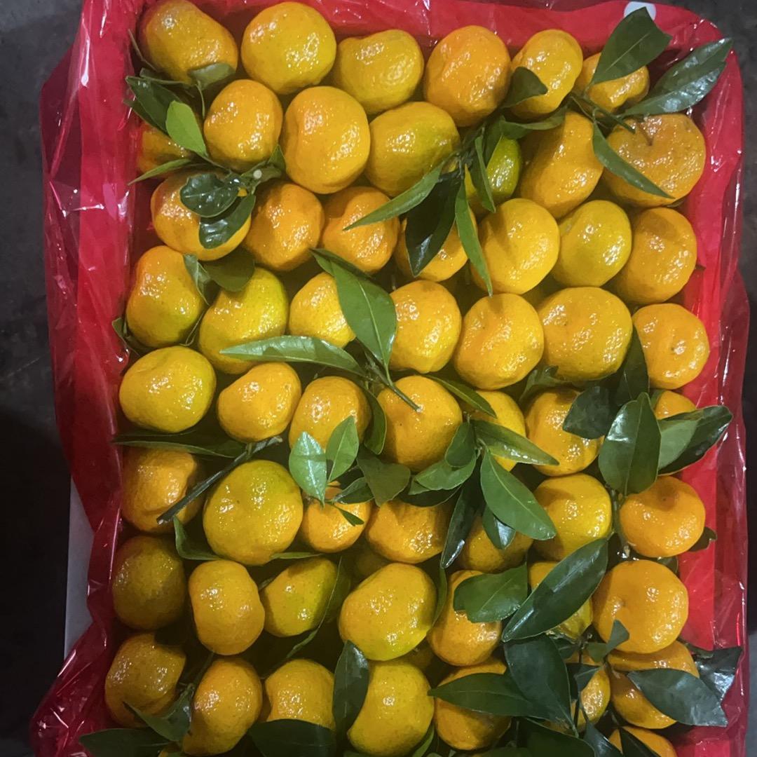 水果蔬菜供应
