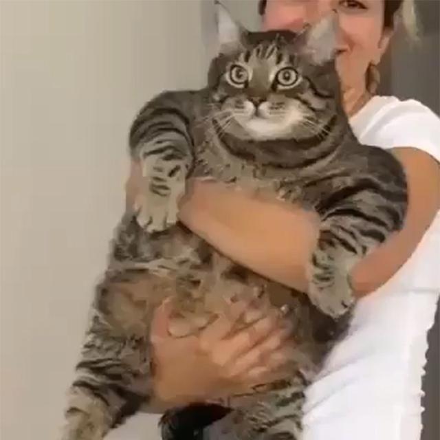 Man杰