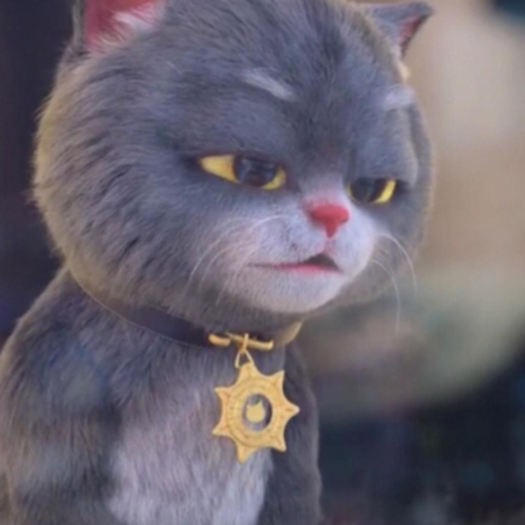 猫卷