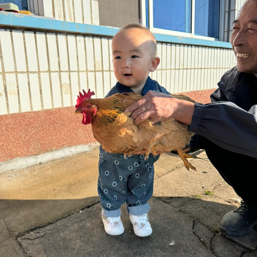 晓潘水果