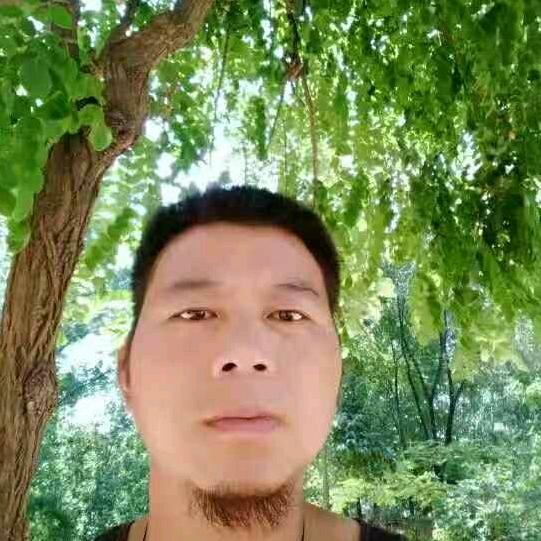 单身三爱🐩狗