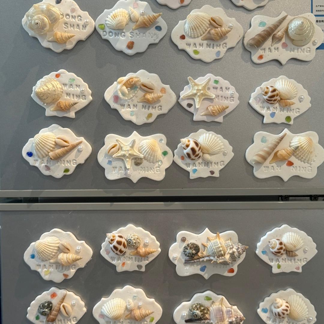 贝壳冰箱贴（接批发）