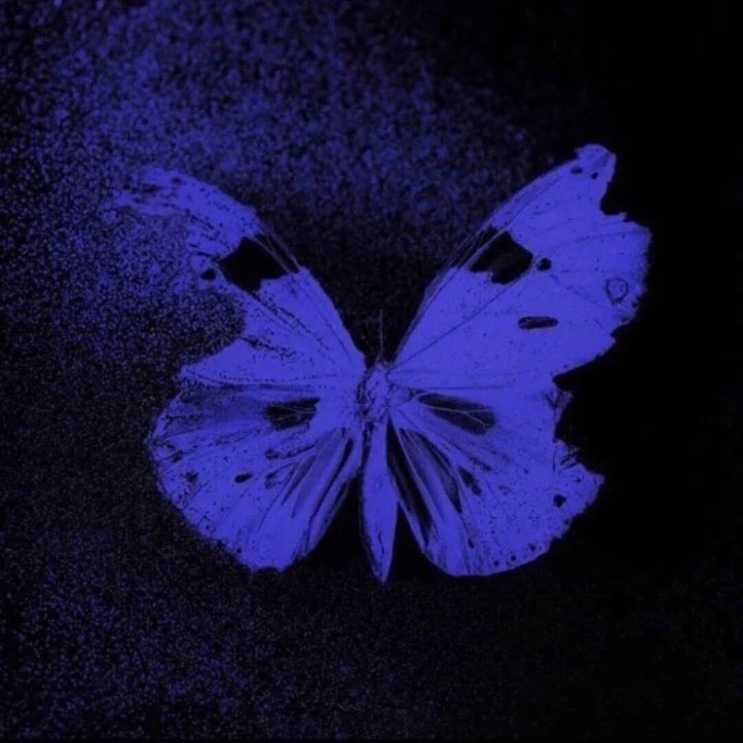 辰星曜CXYO原创水晶