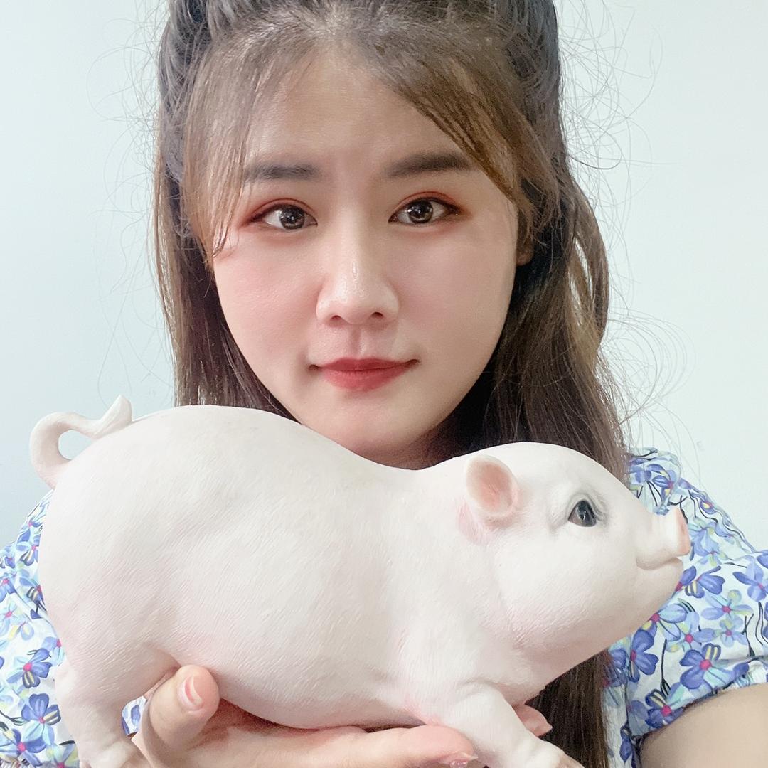 小琳说猪