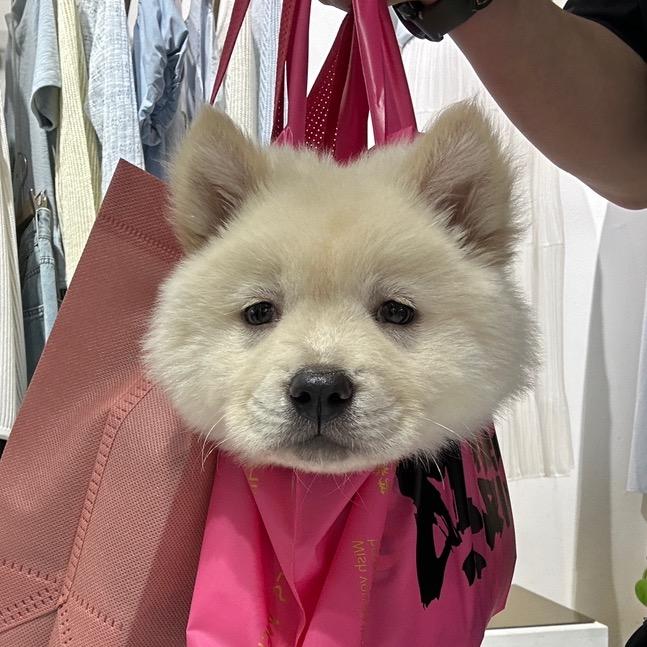 我是小富婆