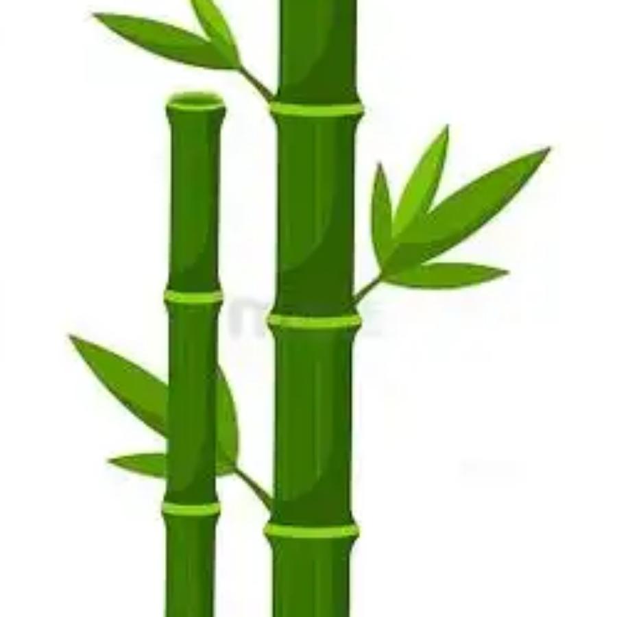 人机