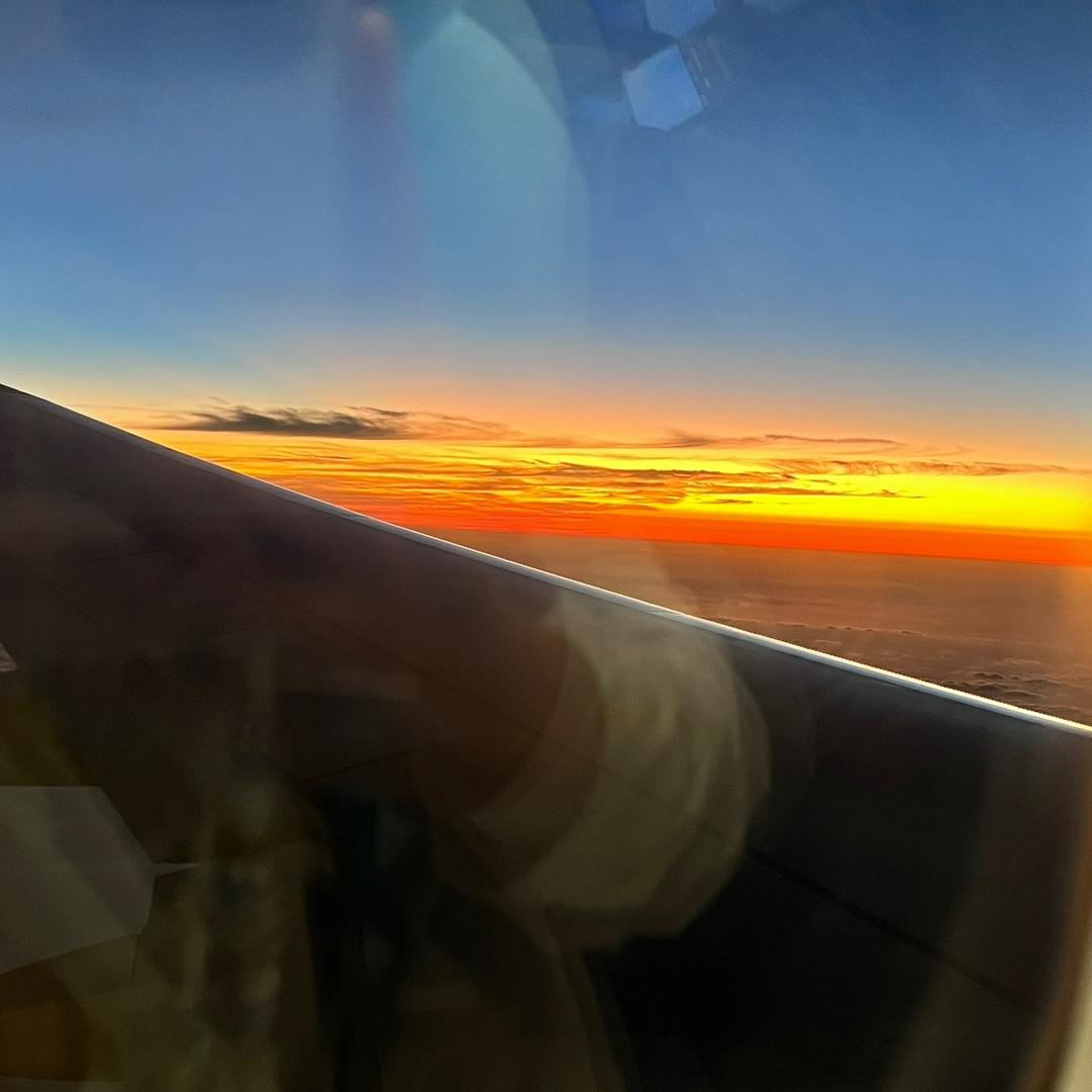 非正常人类绘画事务所