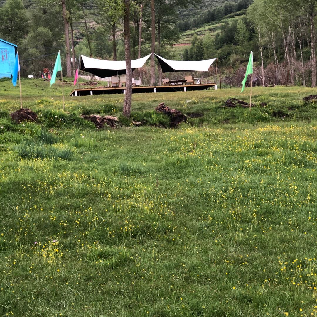 包勒村麦草露营地