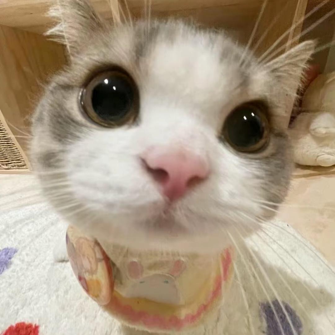 小u伤
