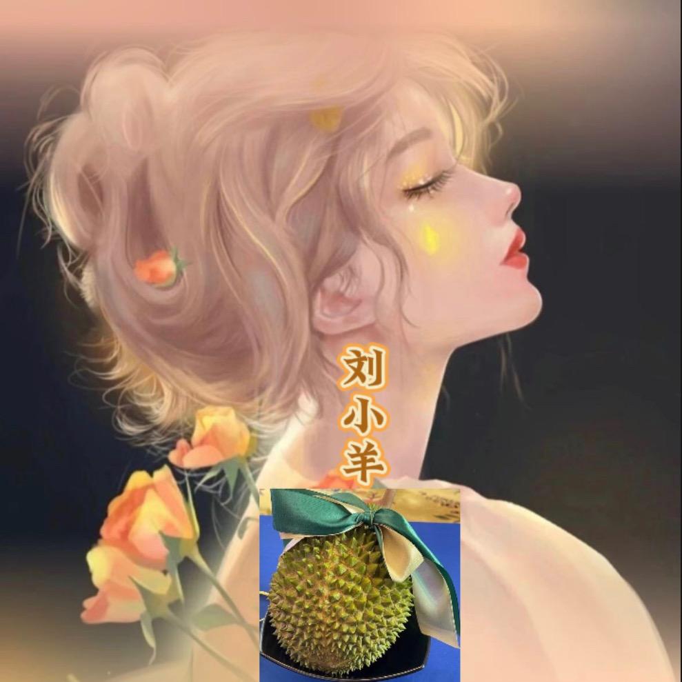 刘小羊（美食自由人）