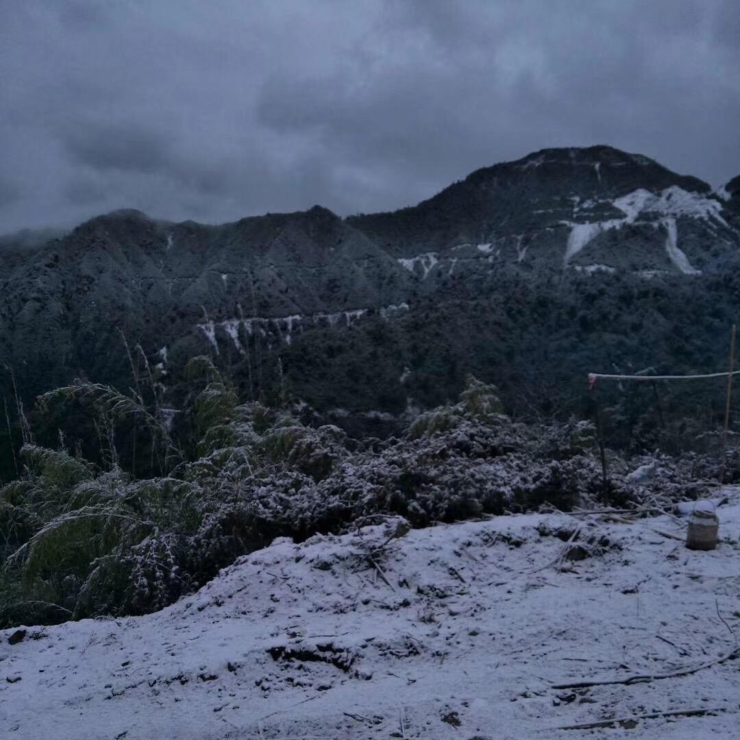 诚农收山货