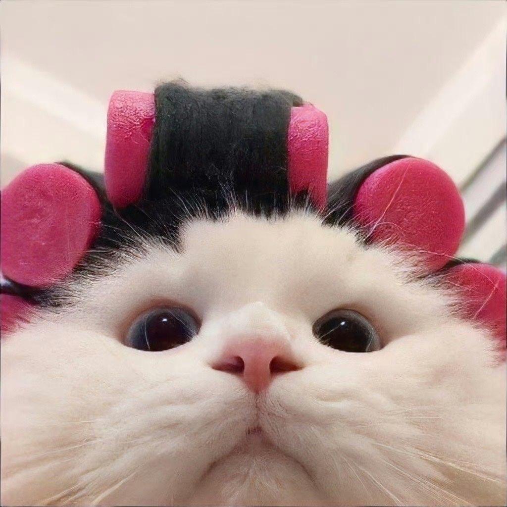 甜甜痴