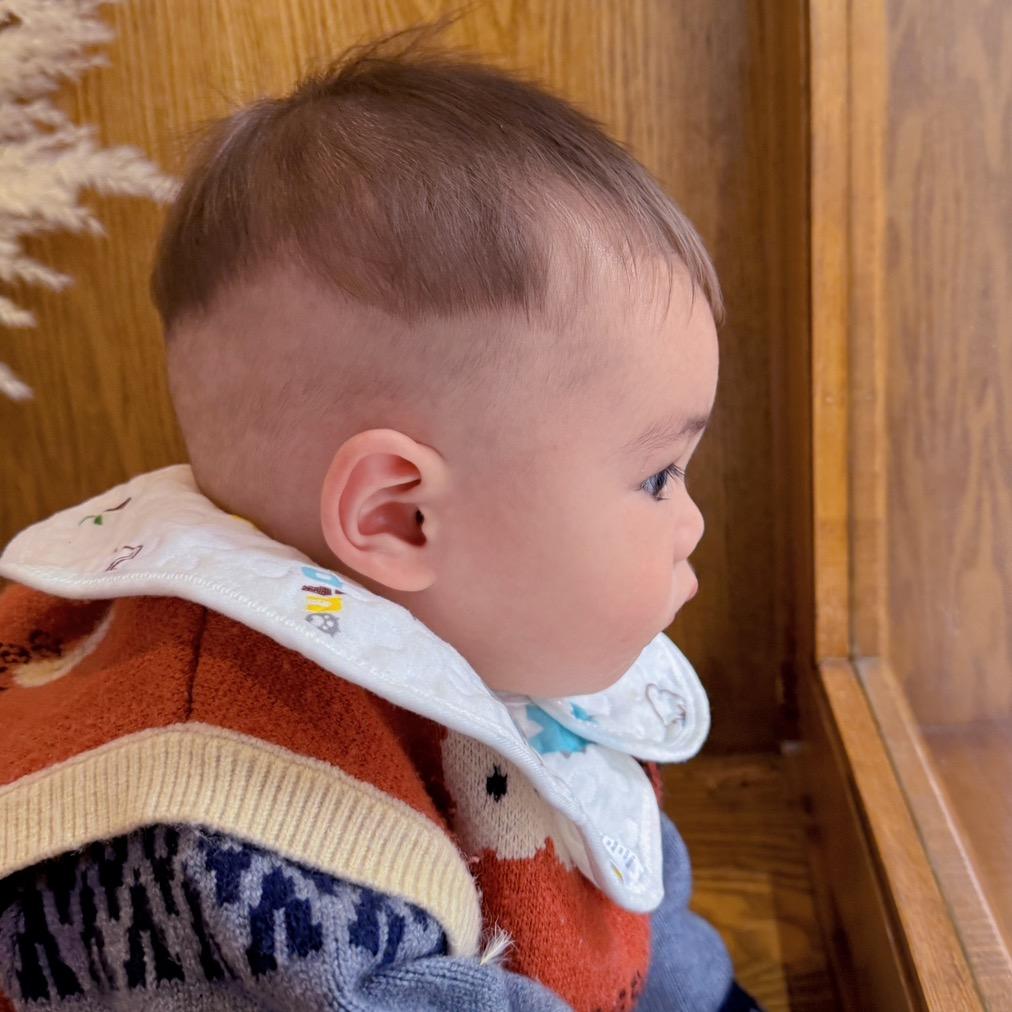 翻斗花园小帅🍼