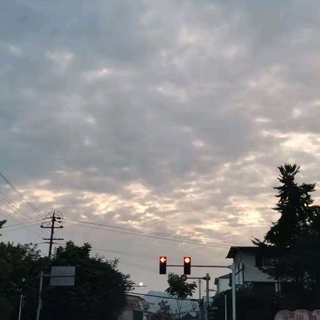 随――缘