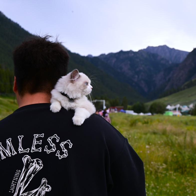 三角洲🎖️胖虎