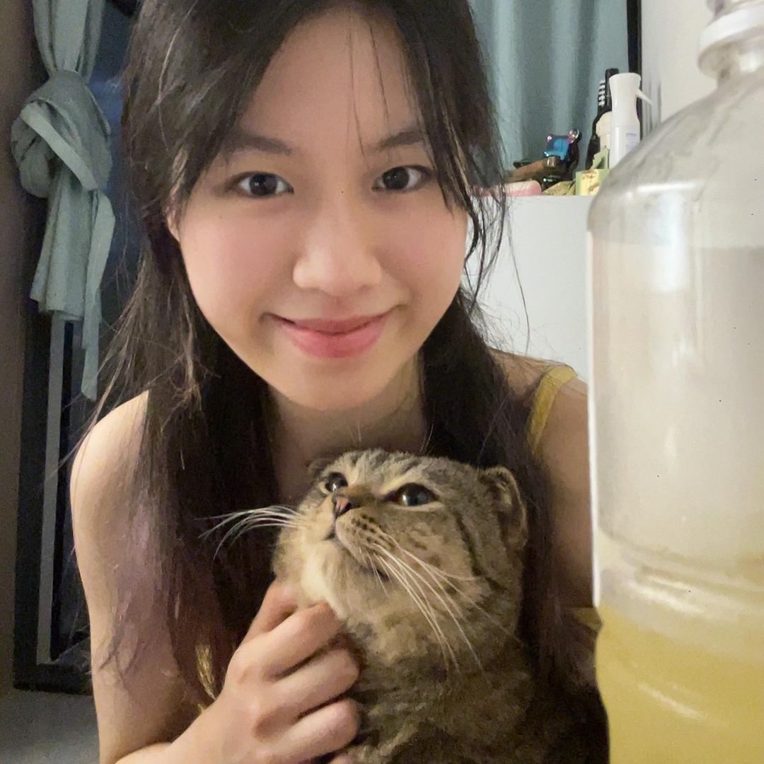 一条小鱼干